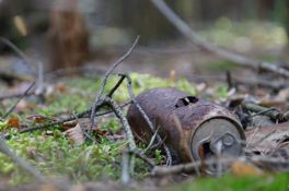 Eine alte verrostete Dose im Wald