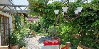 Kletterpflanzen-gekonnt in Szene gesetzt / Christine Gietl