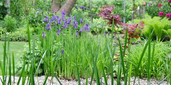 Sommer im Kreislehrgarten