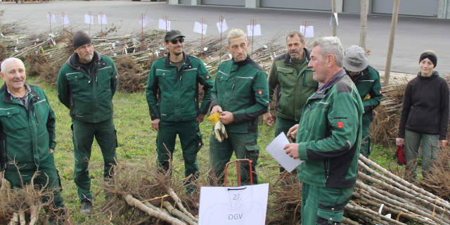 Der Gartenpflegetrupp des Landkreises allen voran Lothar Wagner organisiert die Ausgabe der Bäume