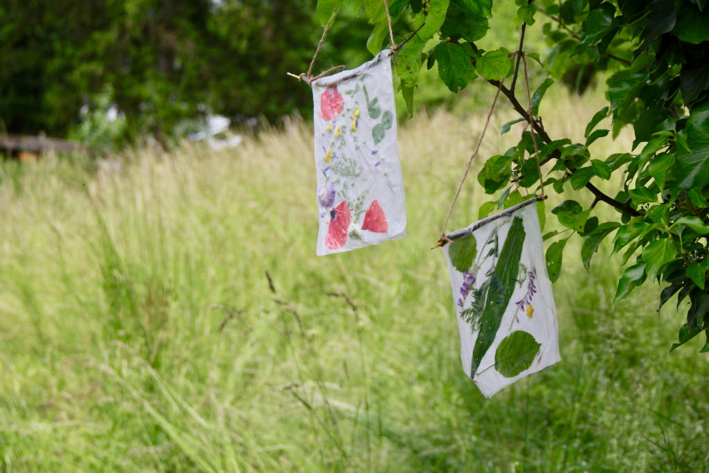 Blüten und Gräser Fensterbilder