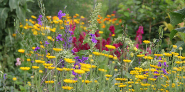 bunte Beete begeisterte die Besucher