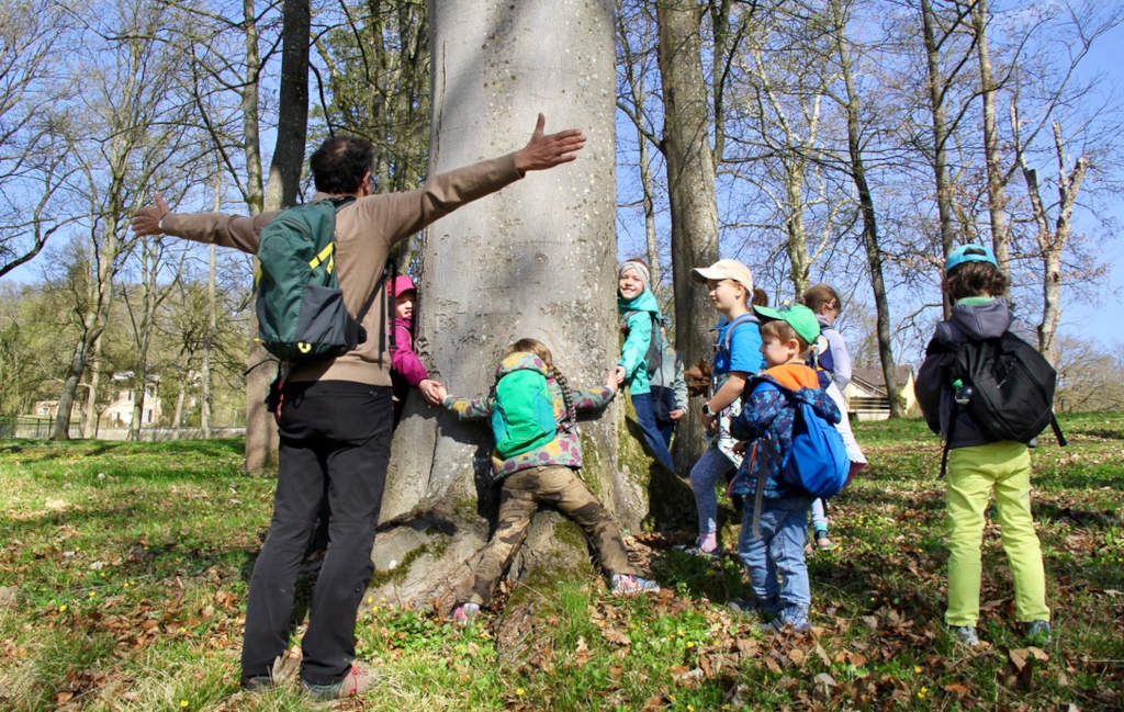 Kinder suchen den größten Birnbaum