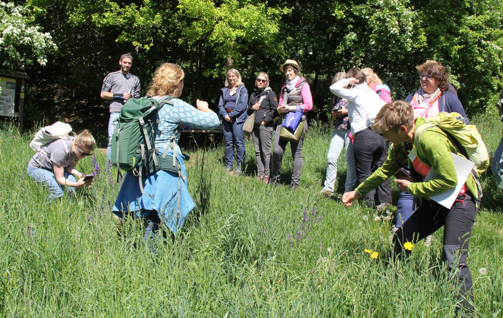 Ausführliche Erklärung und mit allen Sinnen lernen