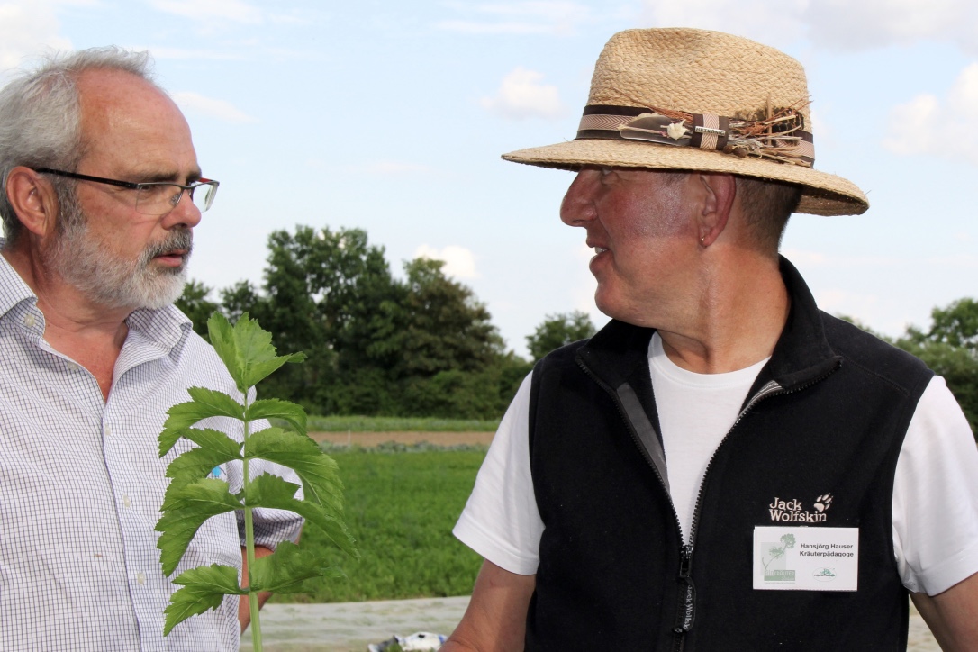 Hansjörg Hauser, Kräuterpädagoge (SF)
