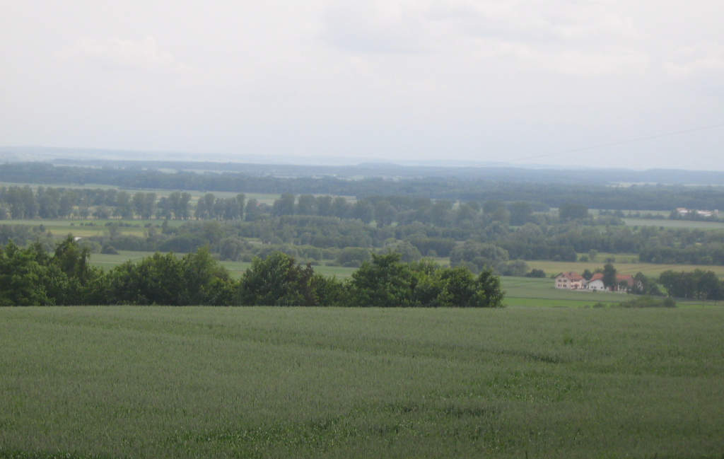 weiter Blick Heckenlandschaft