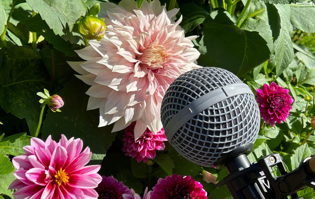 Vielklang Sound Aufnahmen Rechte Ursula Wendeberg