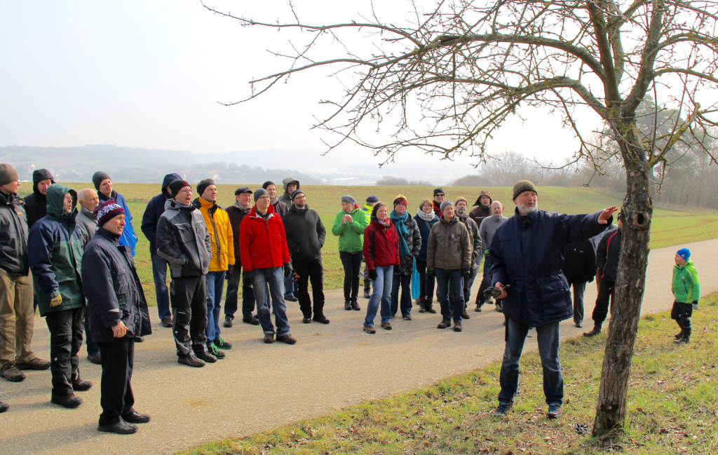 Schnittkurs in Kneiting, die Teilnehmer begutachten einen Obstbaum SF