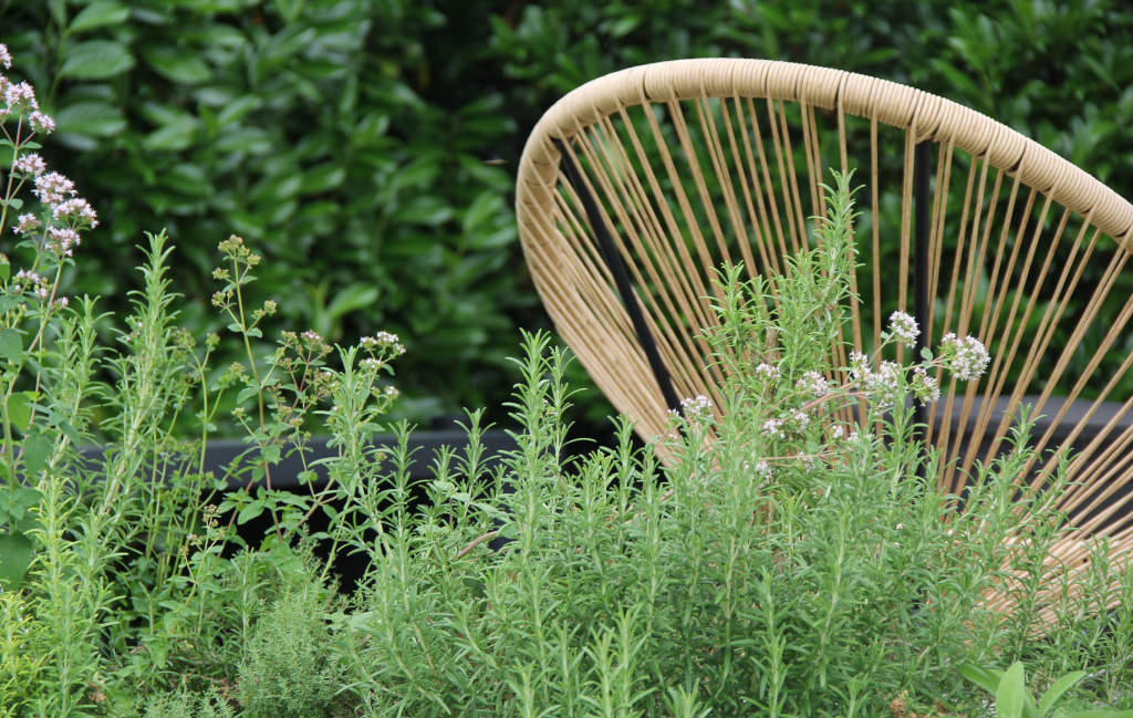 Tag der offenen Gartentür