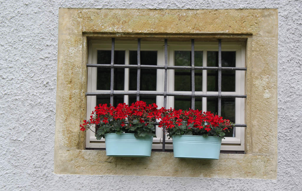 Tag der offenen Gartentür