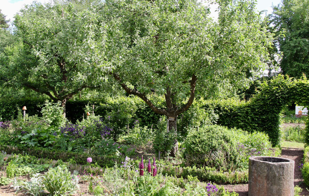 Führung durch den Kreislehrgarten
