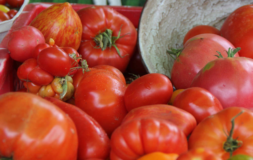 Tomaten in ihrer ganzen Vielfalt