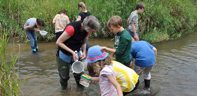 Kinder suchen Lebewesen im Wasser