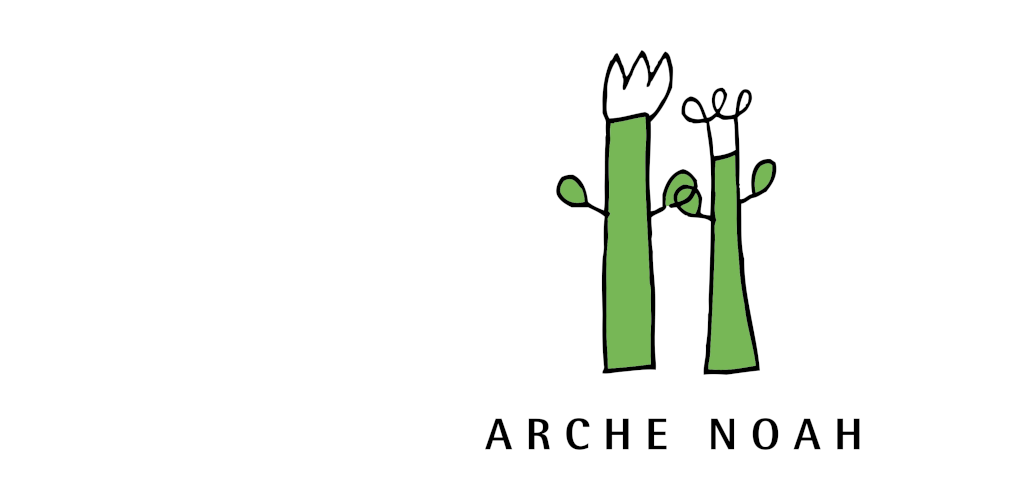 Arche Noah Logo