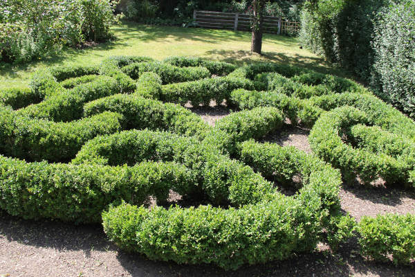 Der Knotengarten, geplant und gepflegt von Christine Gietl, Fachberaterin für Gartenkultur
