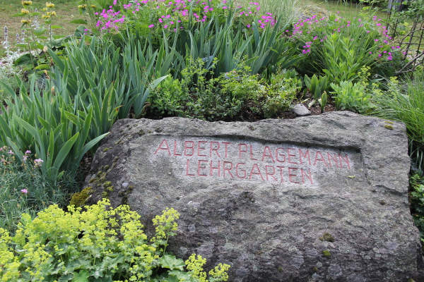 Albert Plagemann Gedenkstein