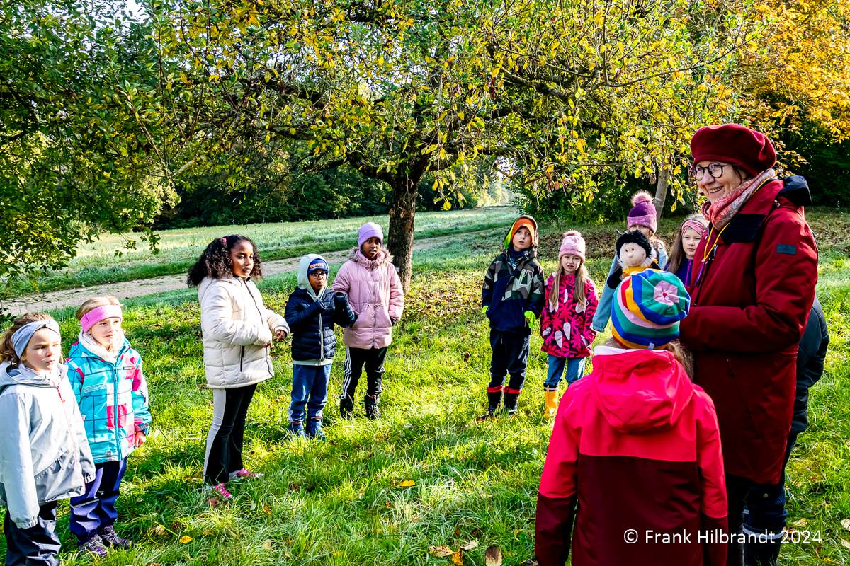 Kindergruppe Brummelhummeln (Oktober 2024): Kartoffelfest auf der Streuobstwiese – Foto 1 von 12