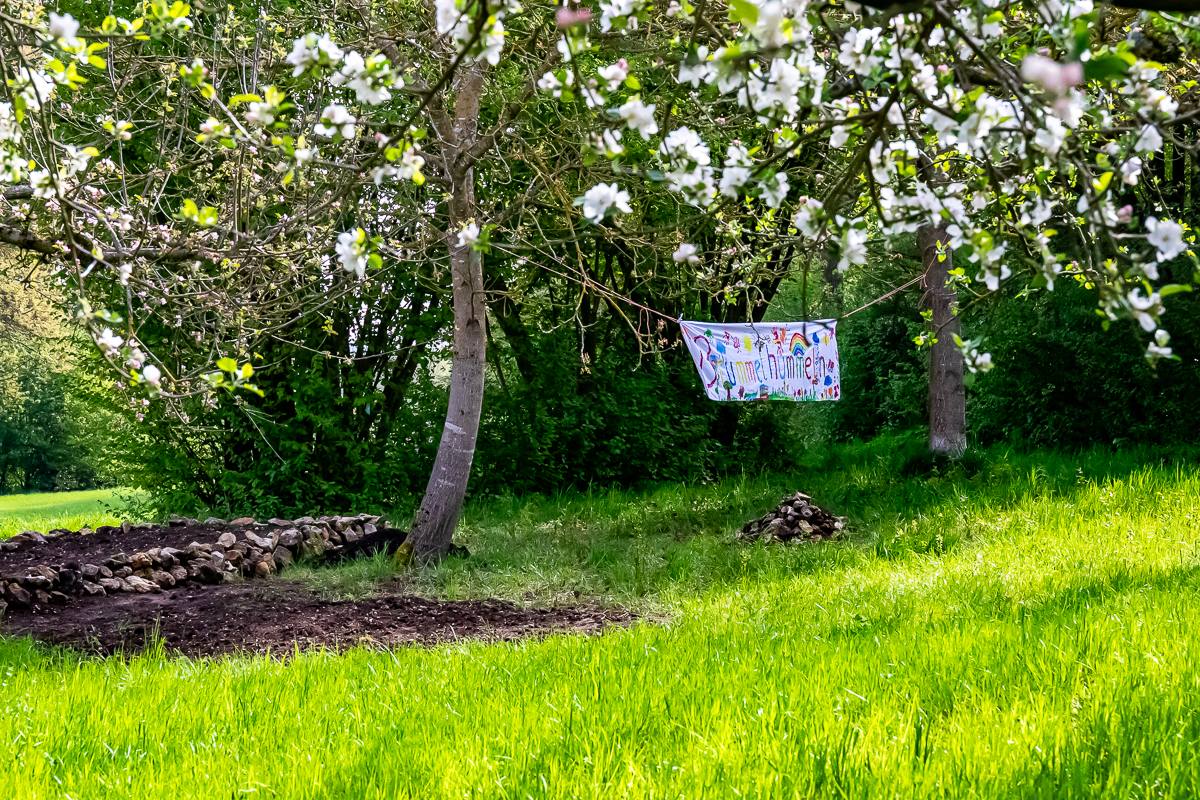 Kindergruppe Brummelhummeln (April 2025): Blühwiese anlegen und Kartoffeln pflanzen – Foto 1 von 26