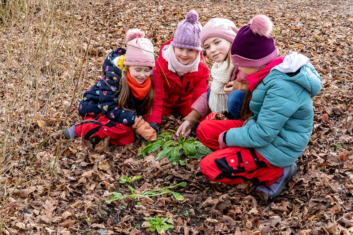 Kindergruppe Brummelhummeln (Februar 2025): Den Frühling im Metzenbachtal suchen – Foto 1 von 12
