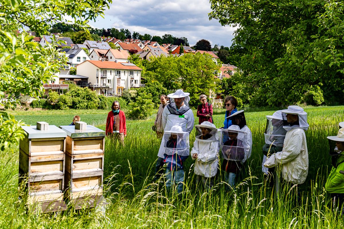 Kindergruppe Brummelhummeln (Mai 2025): Honigbienen mit dem Imker erforschen – Foto 1 von 26