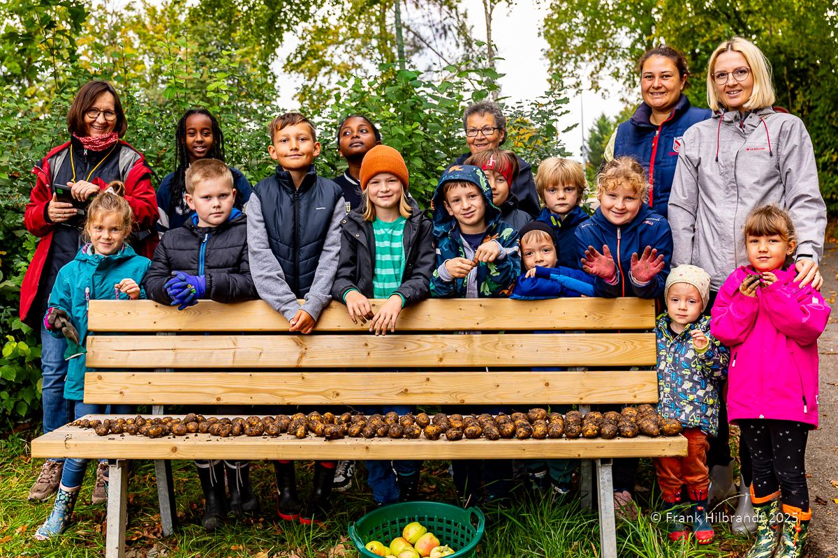 Kindergruppe Brummelhummeln (September 2025): Äpfel und Kartoffeln ernten, Kartoffelfeuer – Foto 1 von 21